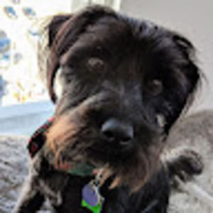 Meet your Posher, Roi